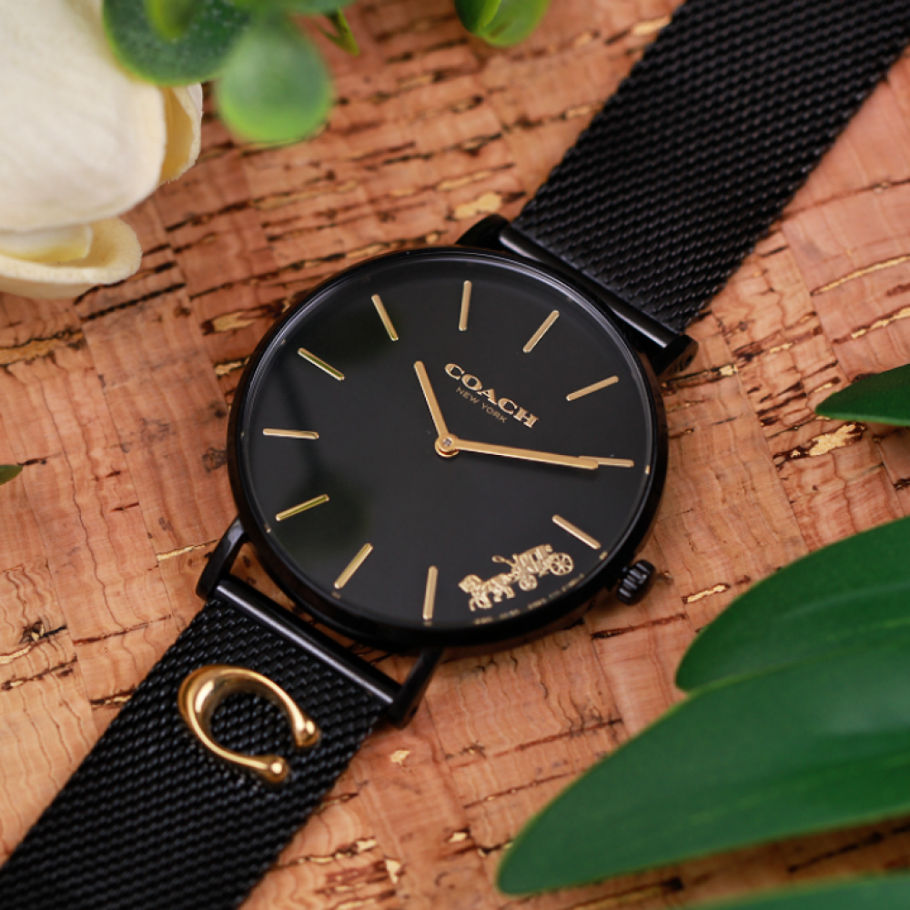 Đồng Hồ Nữ Coach Perry 14503339 36mm
