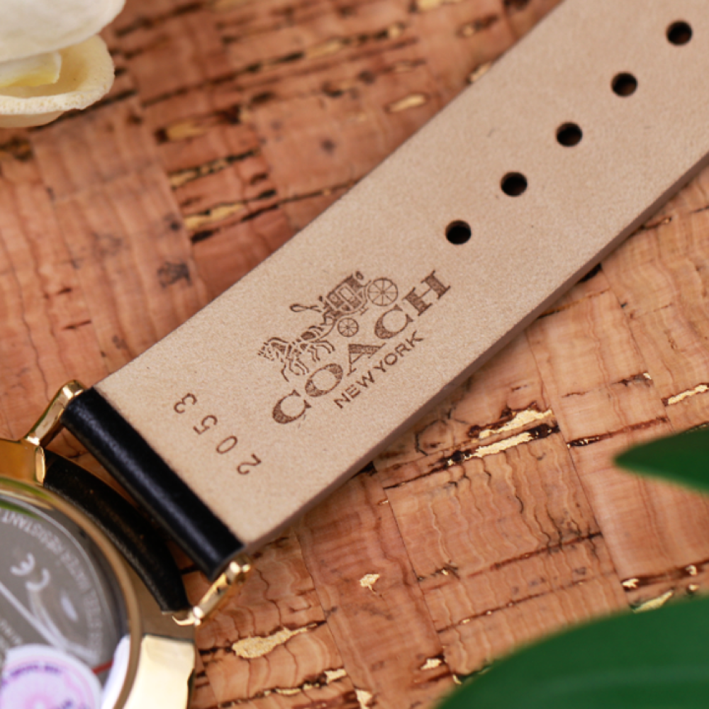 Đồng Hồ Nữ Coach Perry 14503440 36mm