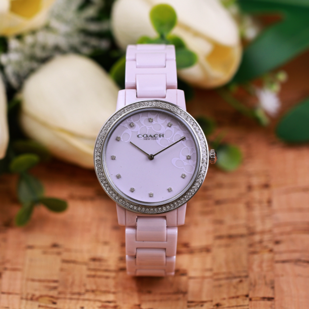 Đồng Hồ Nữ Coach Audrey 14503500 35mm