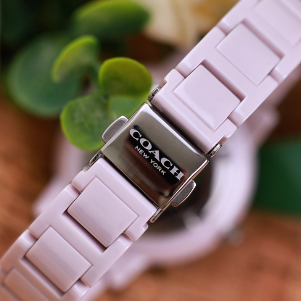 Đồng Hồ Nữ Coach Audrey 14503500 35mm