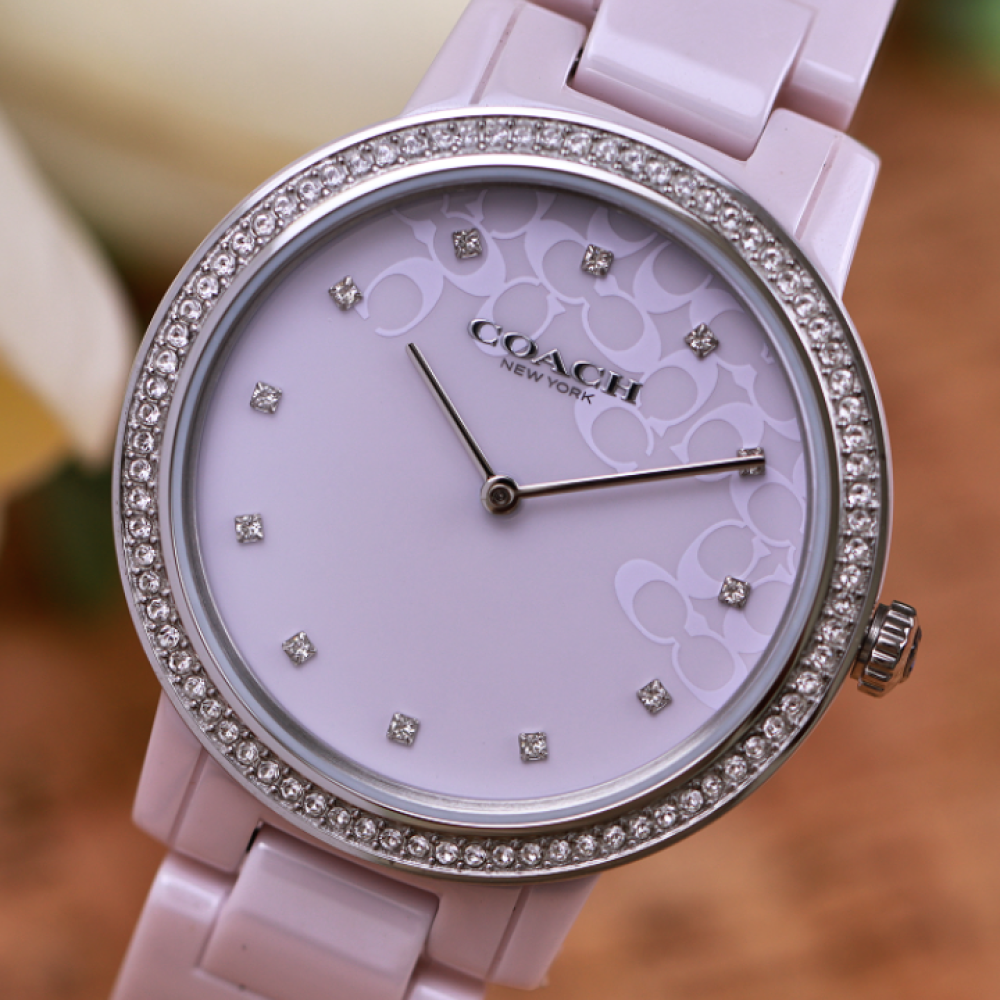 Đồng Hồ Nữ Coach Audrey 14503500 35mm