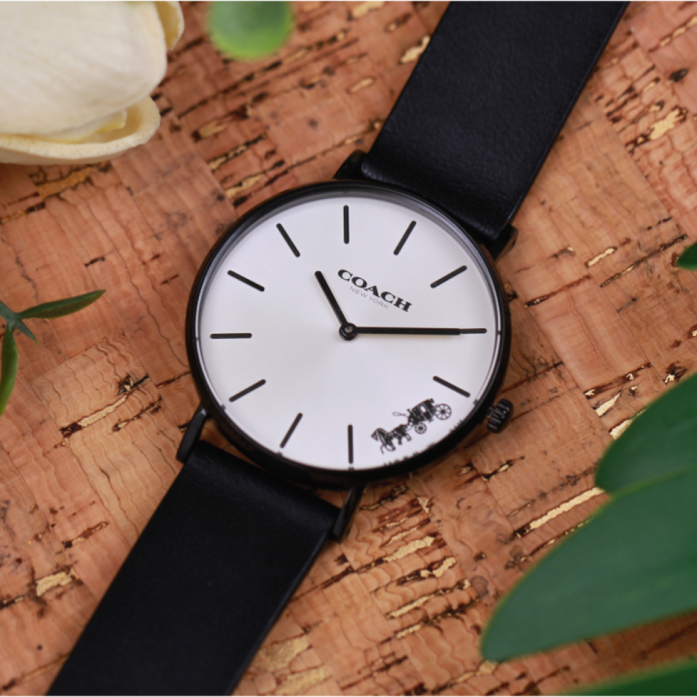Đồng Hồ Nữ Coach Perry 14503655 36mm