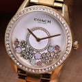 Đồng Hồ Nữ Coach Preston 14503777 36mm