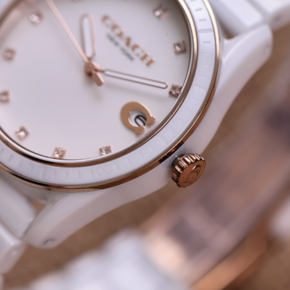 Đồng Hồ Nữ Coach Preston 14503263 36mm