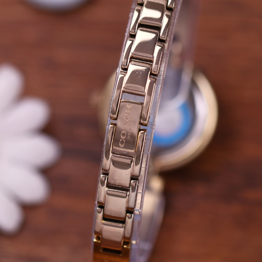 Đồng Hồ Nữ Coach Chrystie 14503317 26mm