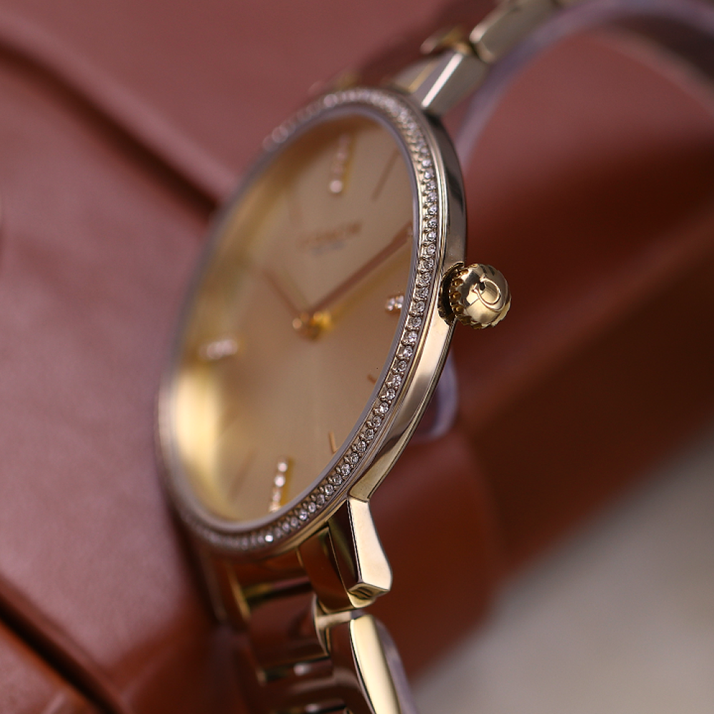 Đồng Hồ Nữ Coach Audrey 14503355 35mm