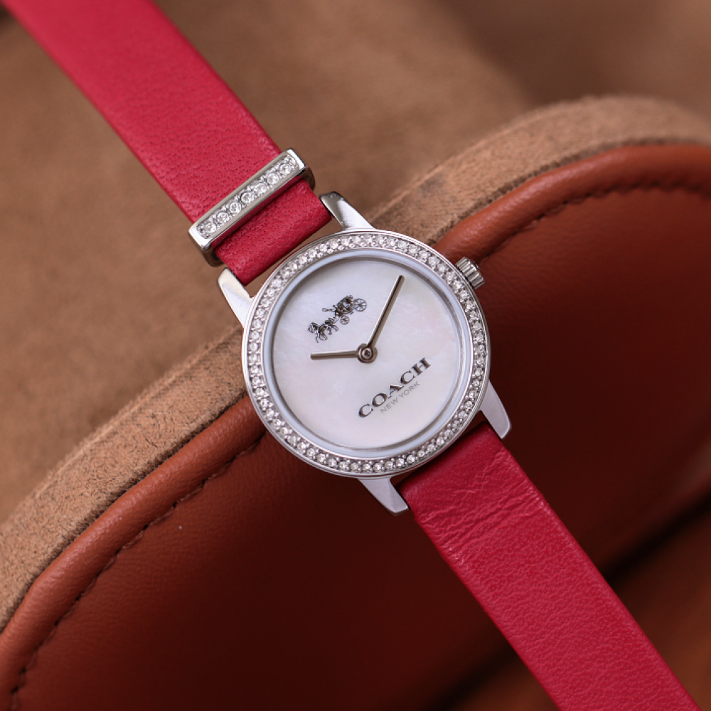 Đồng Hồ Nữ Coach Audrey 14503362 28mm