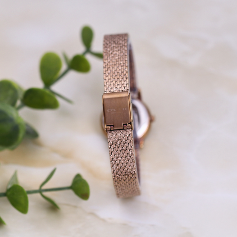 Đồng Hồ Nữ Coach Audrey 14503372 22mm
