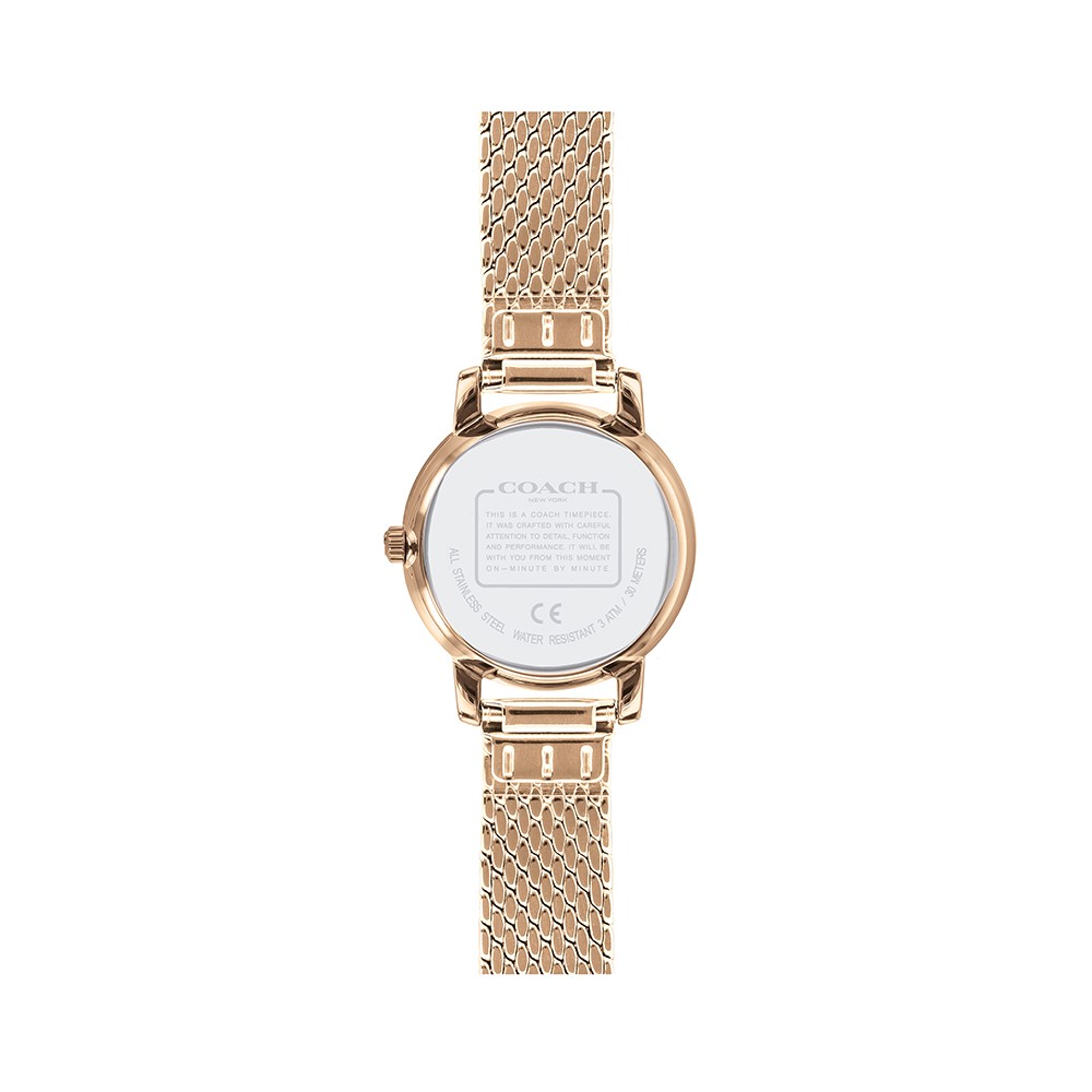 Đồng Hồ Nữ Coach Audrey 14503372 22mm