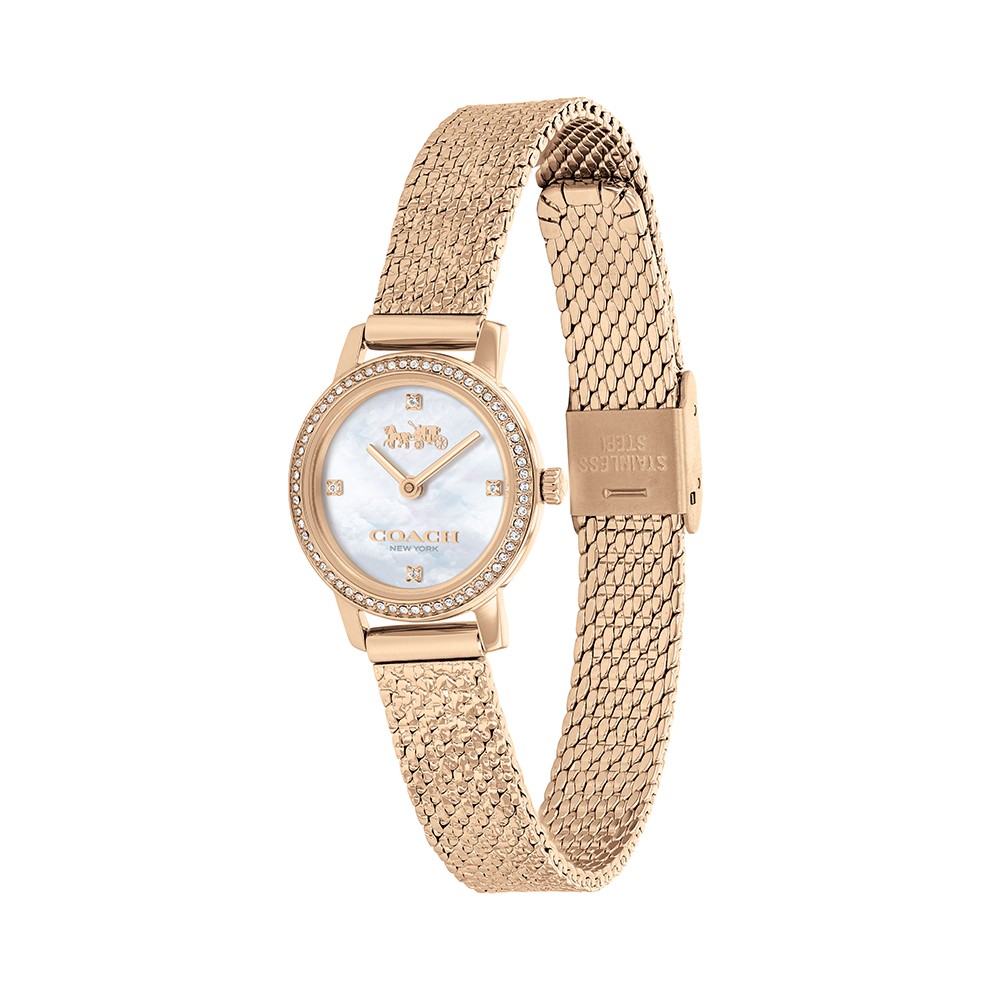 Đồng Hồ Nữ Coach Audrey 14503372 22mm