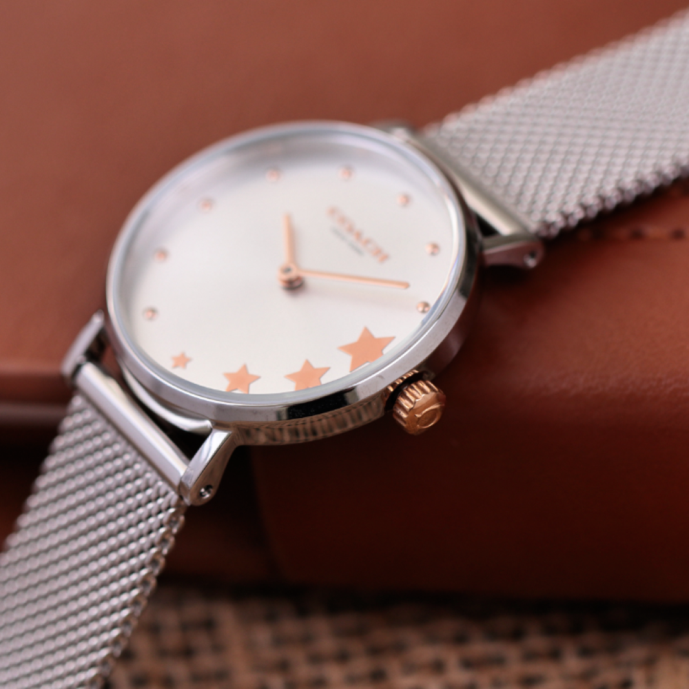 Đồng Hồ Nữ Coach Perry 14503519 28mm