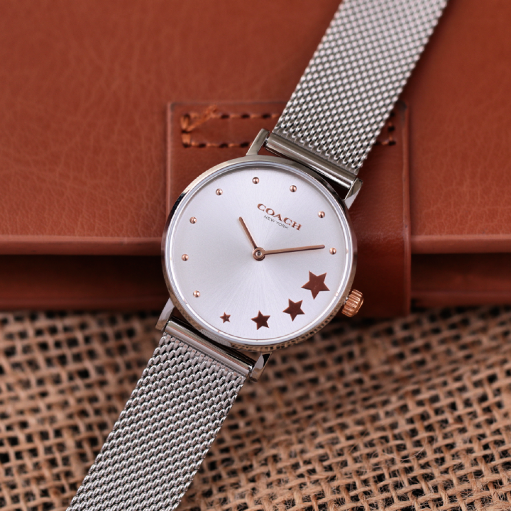Đồng Hồ Nữ Coach Perry 14503519 28mm