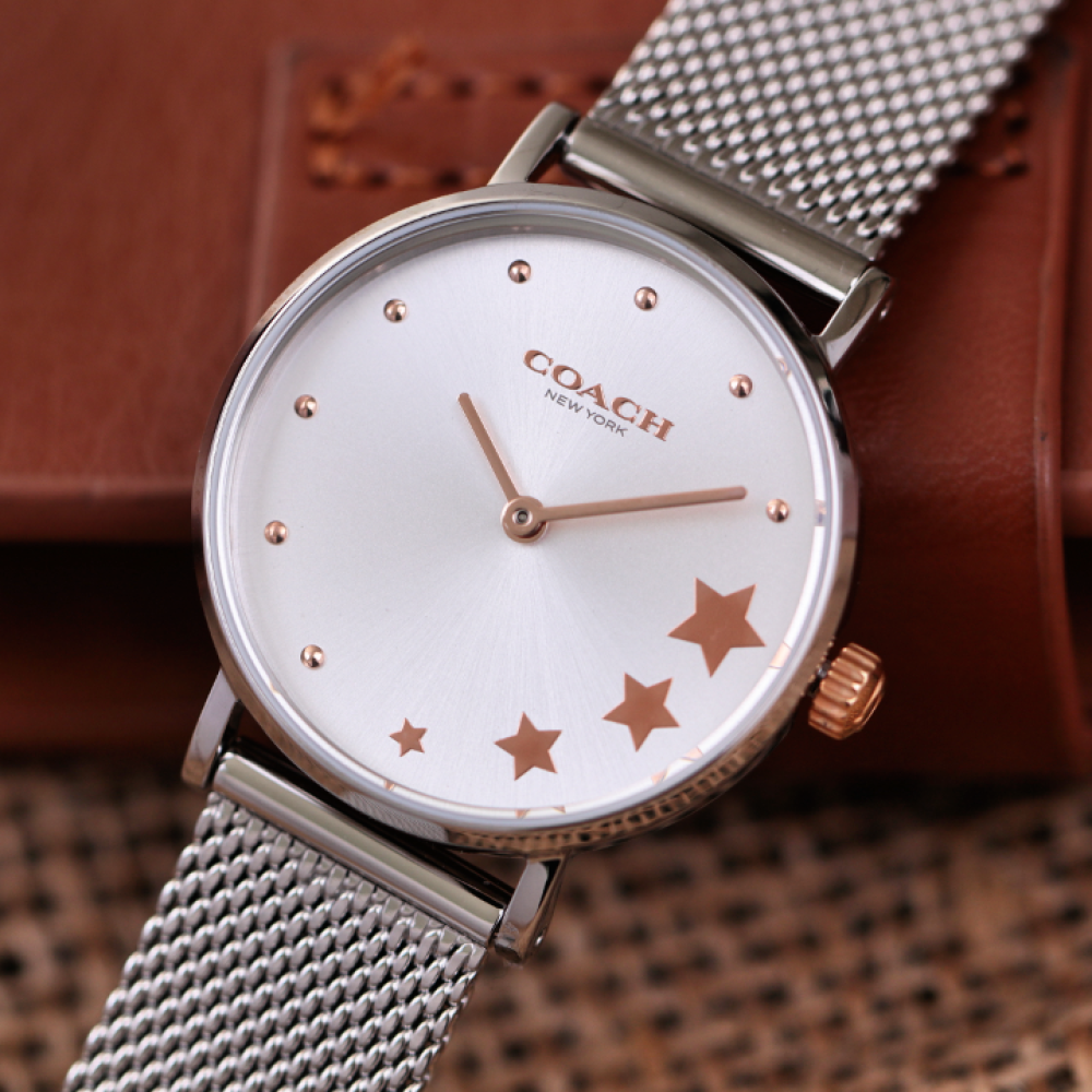 Đồng Hồ Nữ Coach Perry 14503519 28mm