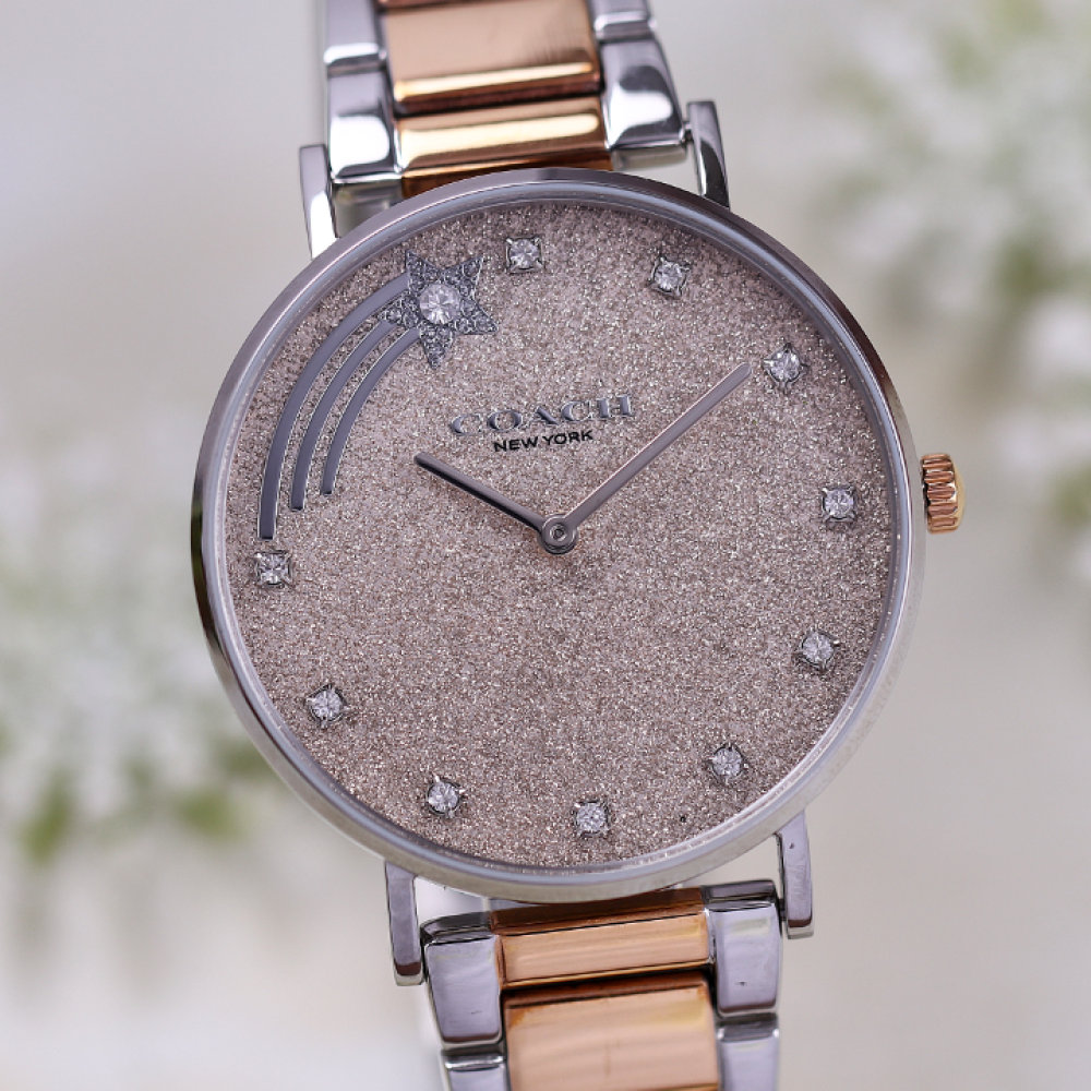 Đồng Hồ Nữ Coach Perry 14503522 36mm