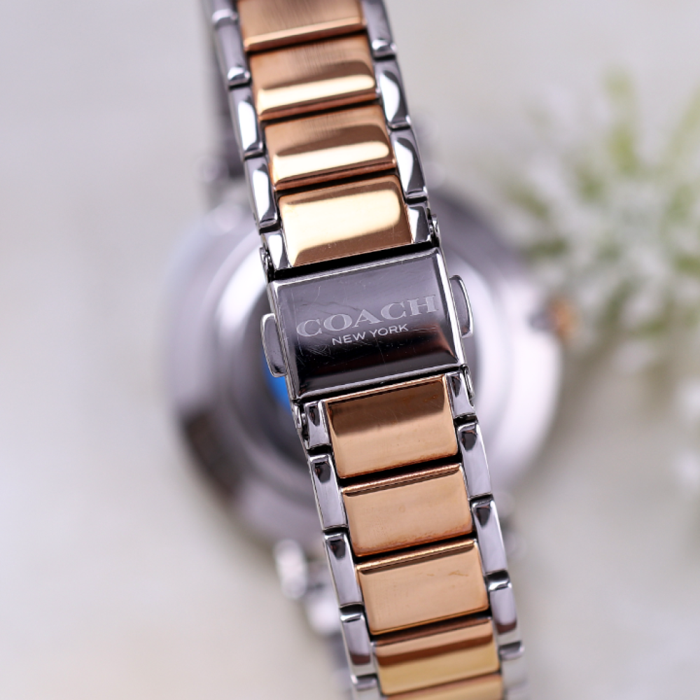 Đồng Hồ Nữ Coach Perry 14503522 36mm