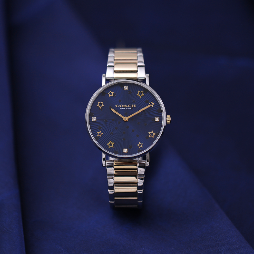 Đồng Hồ Nữ Coach Perry 14503523 36mm