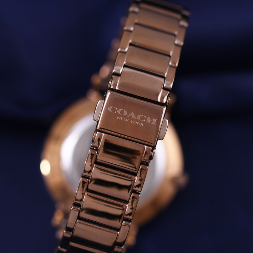 Đồng Hồ Nữ Coach Perry 14503524 36mm