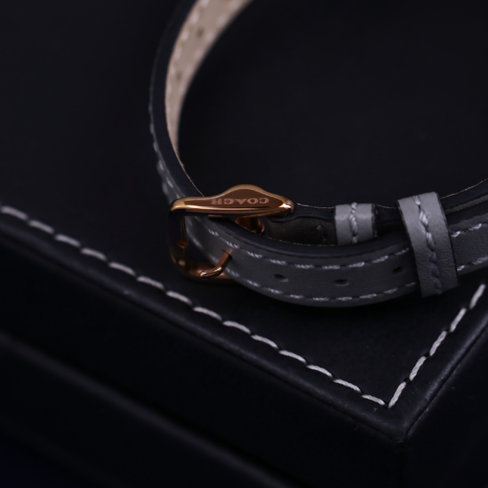 Đồng Hồ Nữ Coach Arden 14503617 28mm