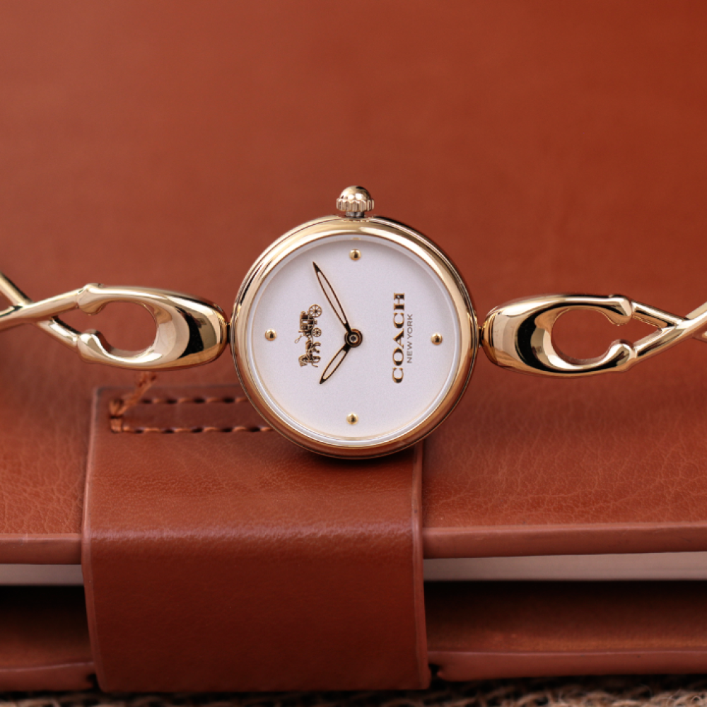 Đồng Hồ Nữ Coach Caroll 14503749 26mm