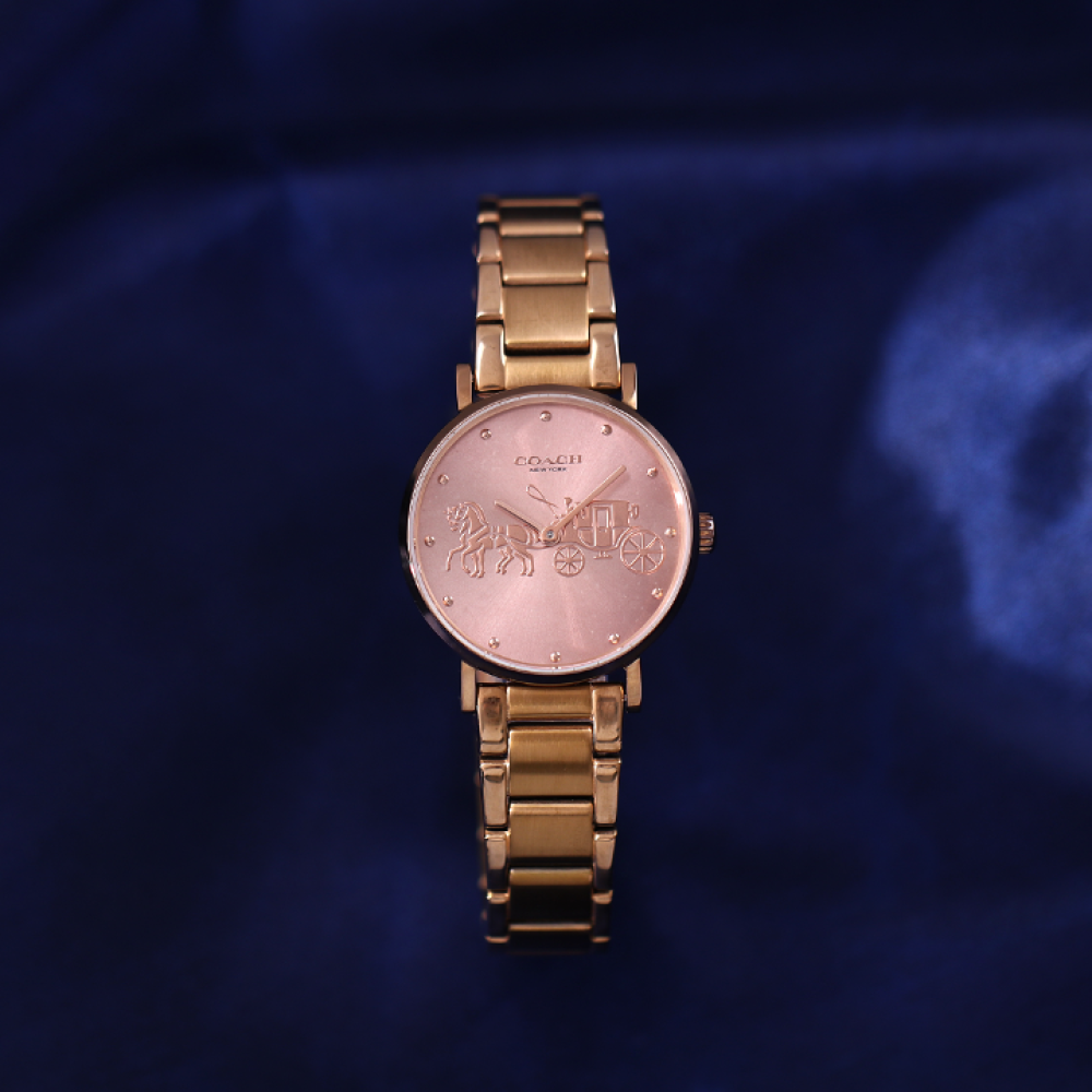 Đồng Hồ Nữ Coach Perry 14503793 28mm