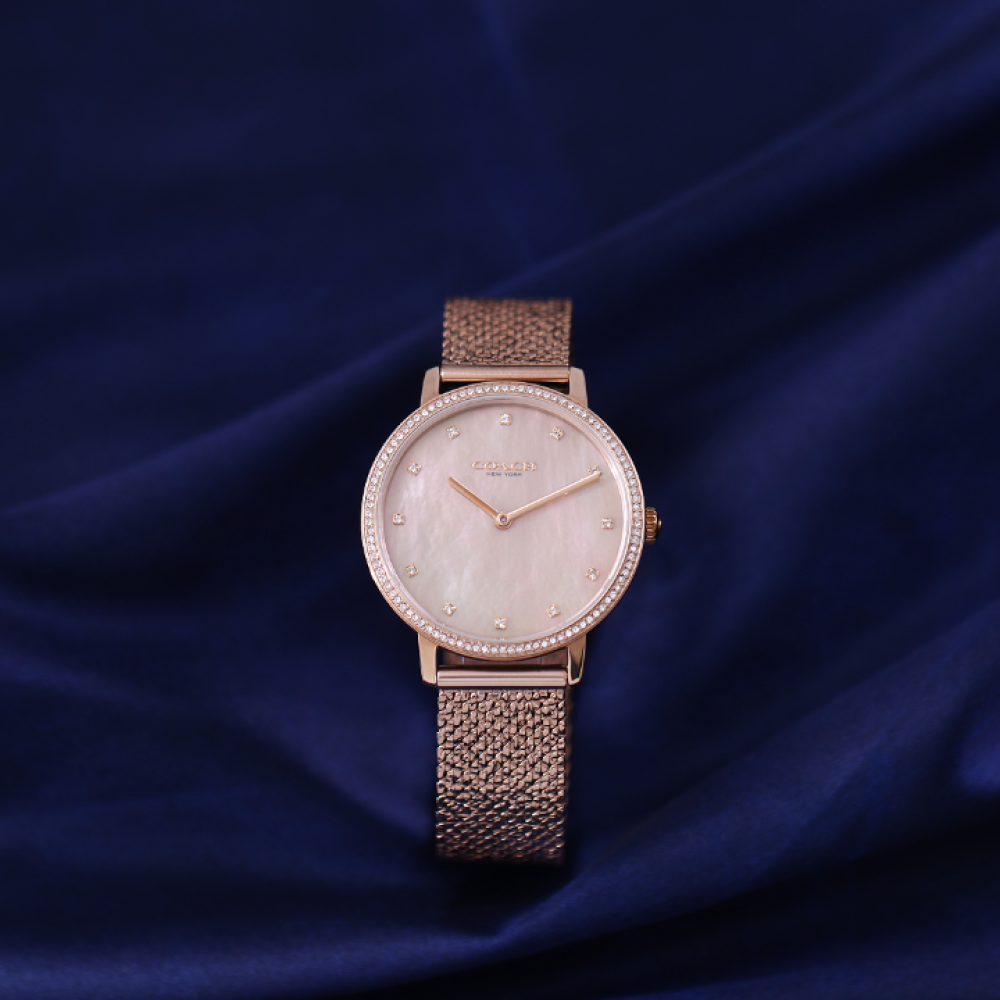 Đồng Hồ Nữ Coach Audrey 14503827 35mm