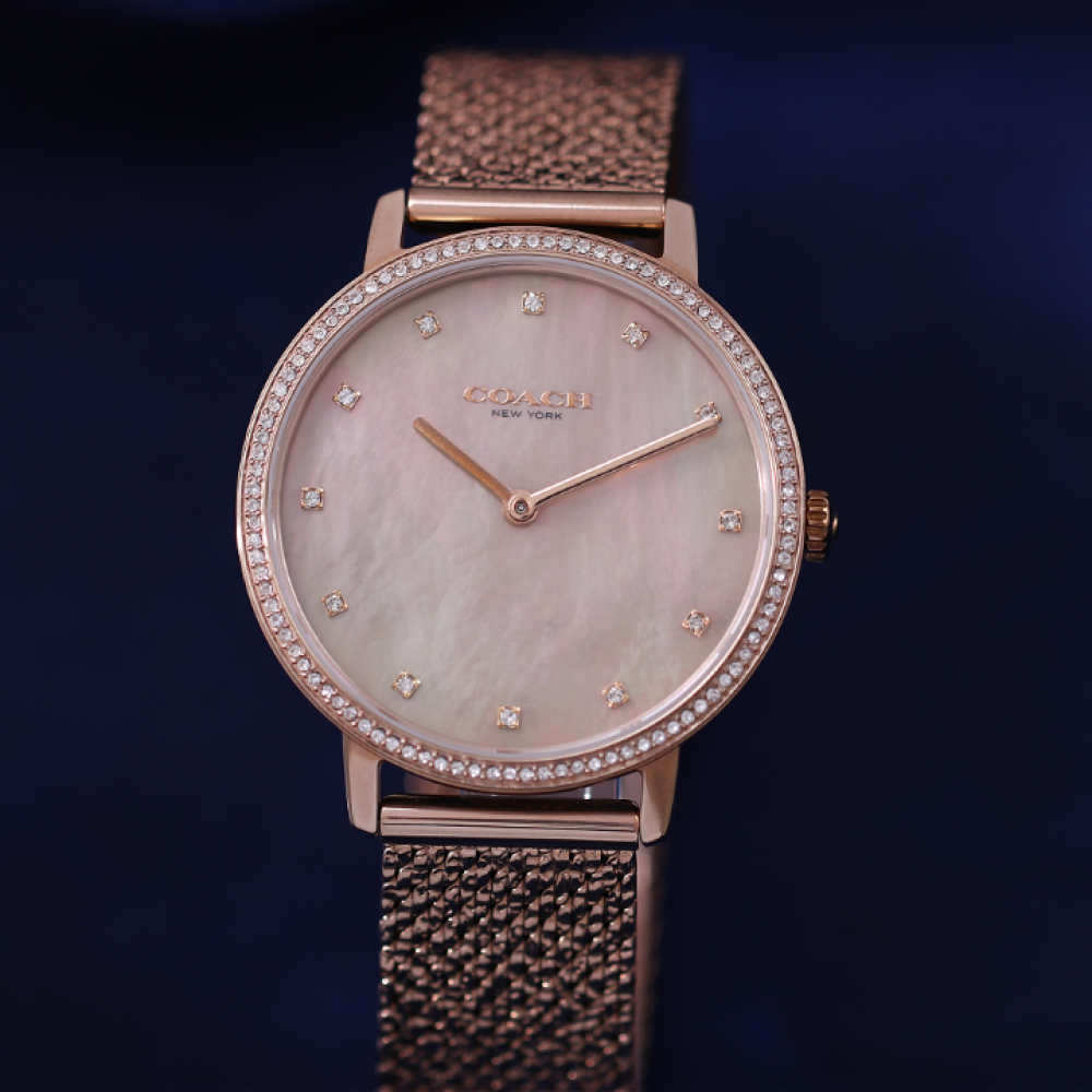 Đồng Hồ Nữ Coach Audrey 14503827 35mm