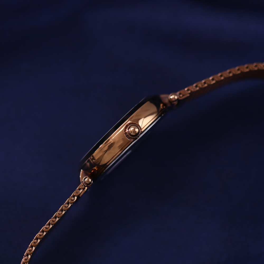 Đồng Hồ Nữ Coach Audrey 14503828 35mm