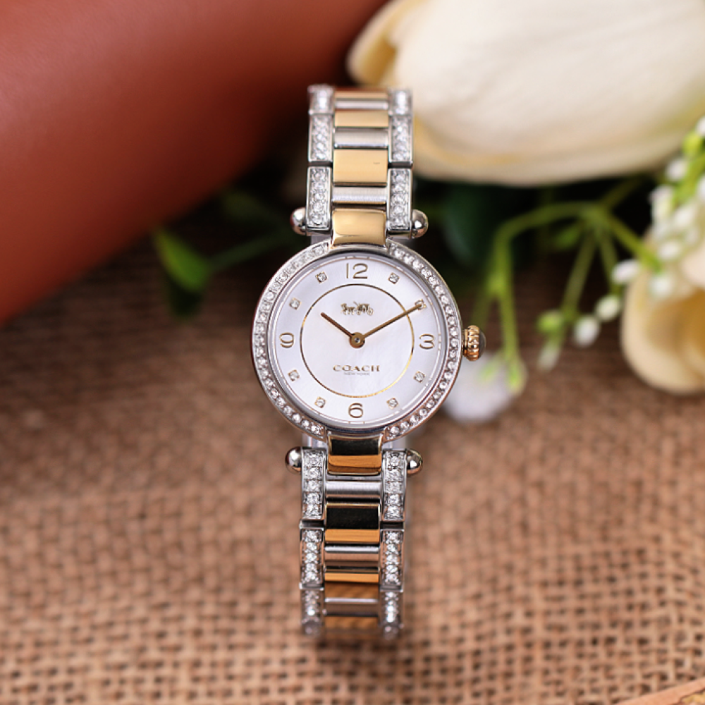 Đồng Hồ Nữ Coach Cary 14503840 26mm