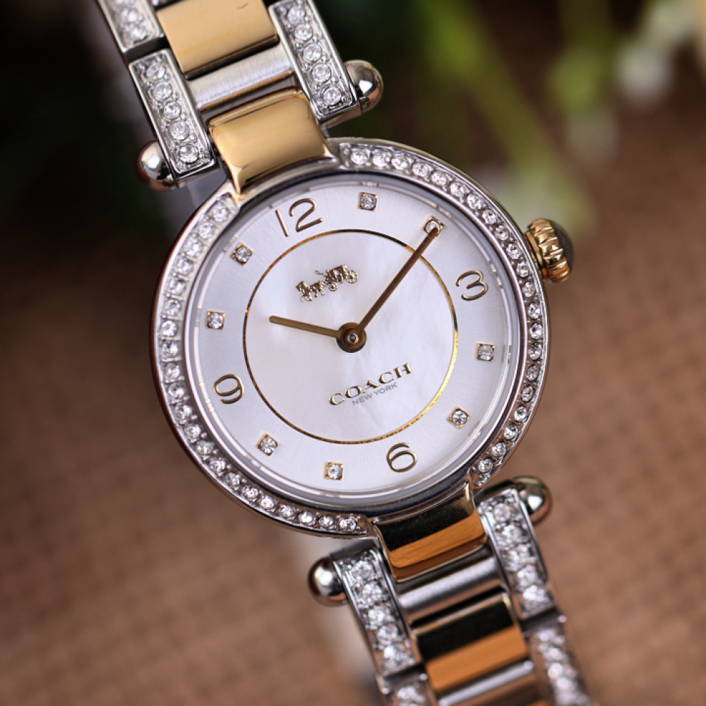 Đồng Hồ Nữ Coach Cary 14503840 26mm