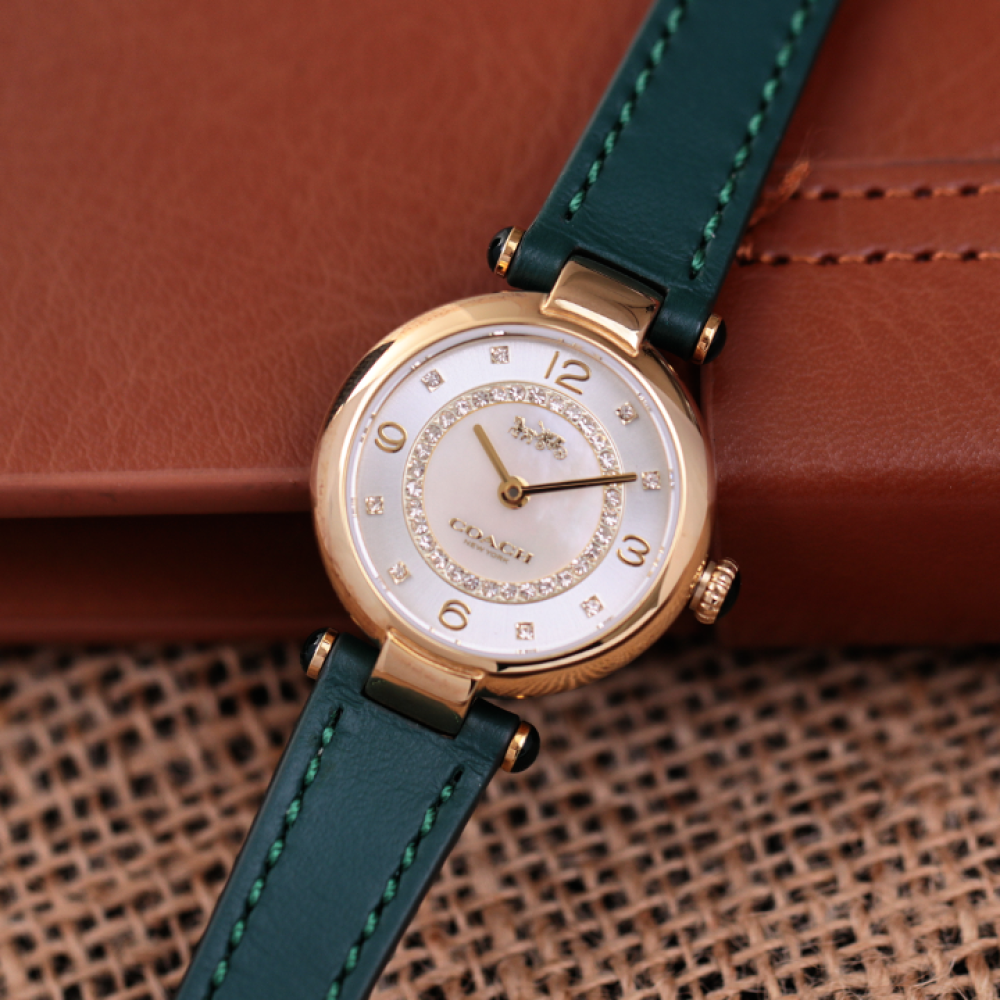 Đồng Hồ Nữ Coach Cary 14503894 26mm
