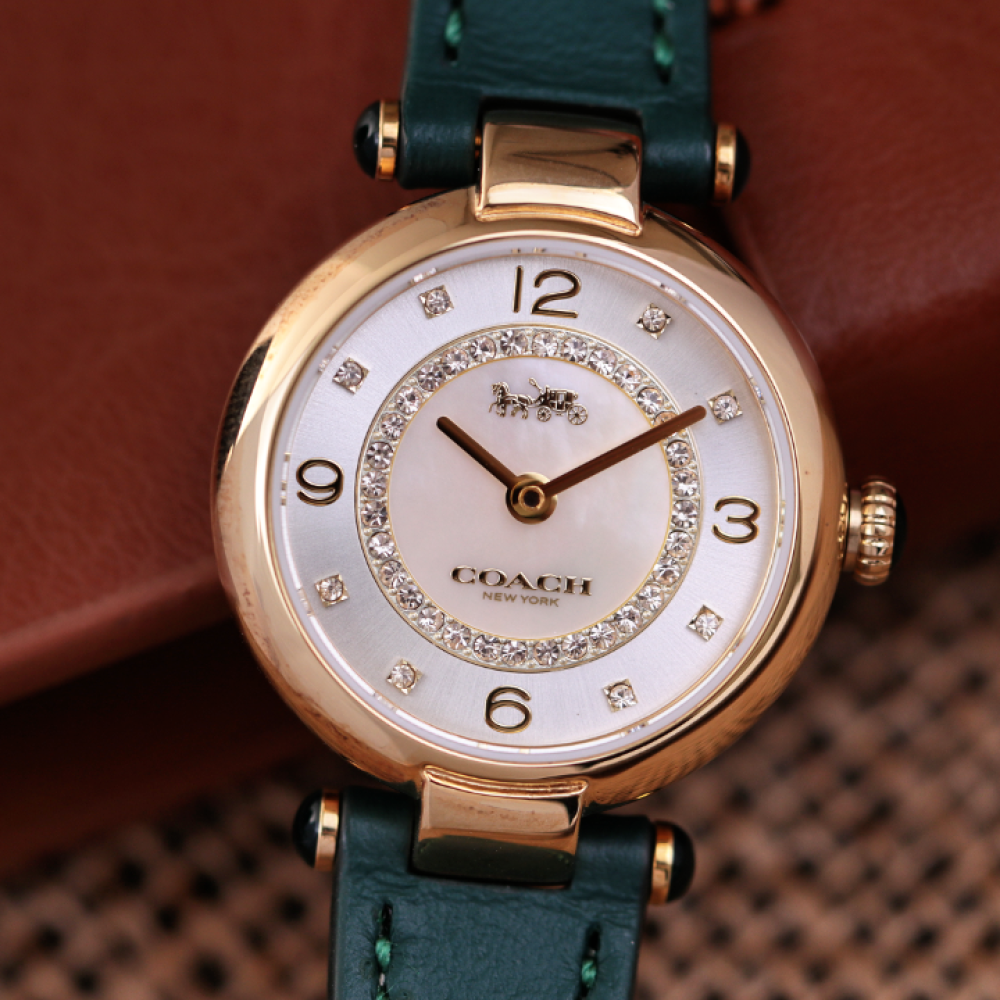 Đồng Hồ Nữ Coach Cary 14503894 26mm