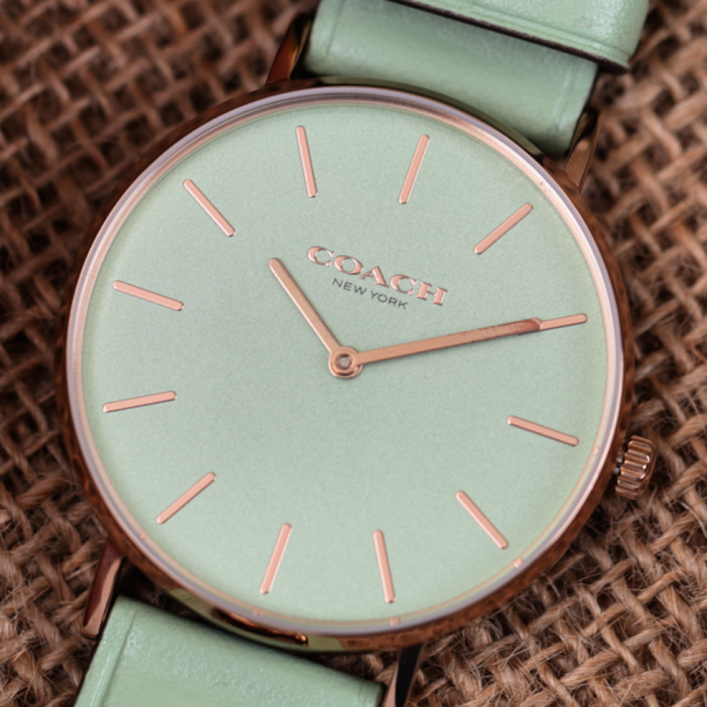 Đồng Hồ Nữ Coach Perry 14503921 36mm