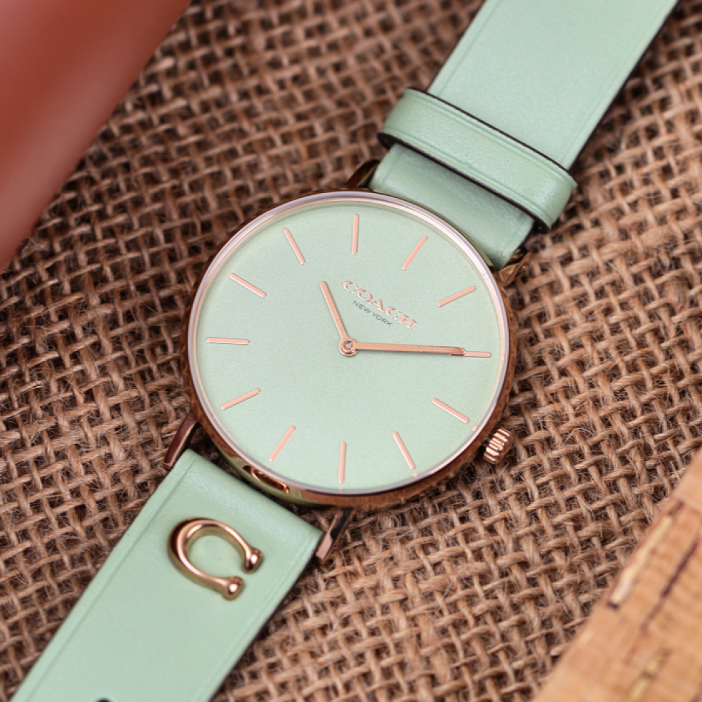 Đồng Hồ Nữ Coach Perry 14503921 36mm