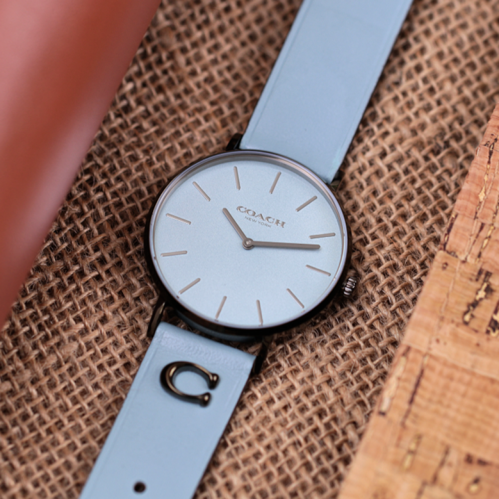 Đồng Hồ Nữ Coach Perry 14503923 36mm