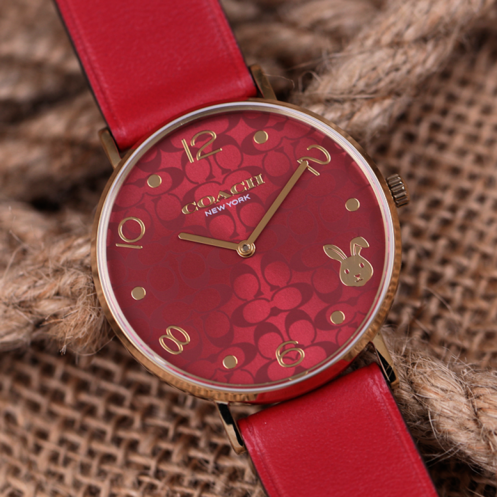 Đồng Hồ Nữ Coach Perry 14503977 36mm