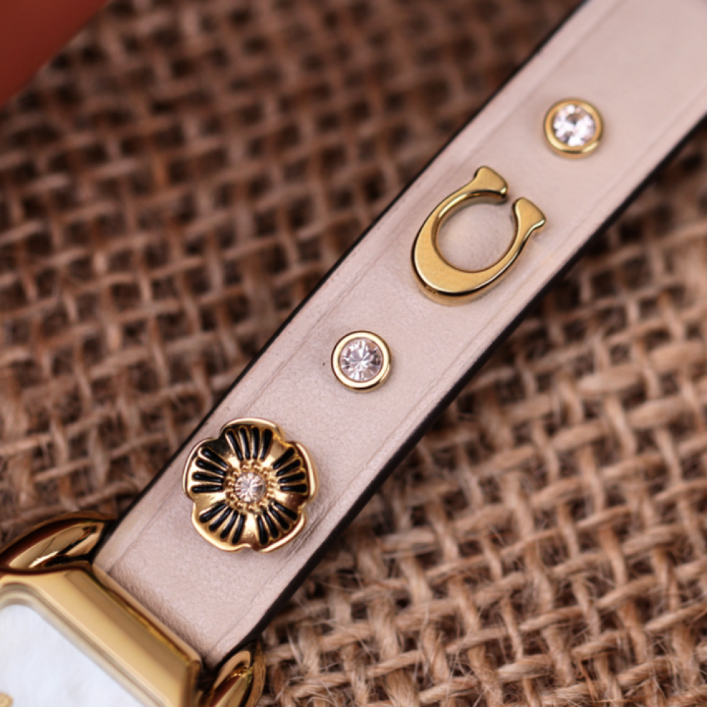 Đồng Hồ Nữ Coach Cadie 14504115 17.5mmx28.5mm 