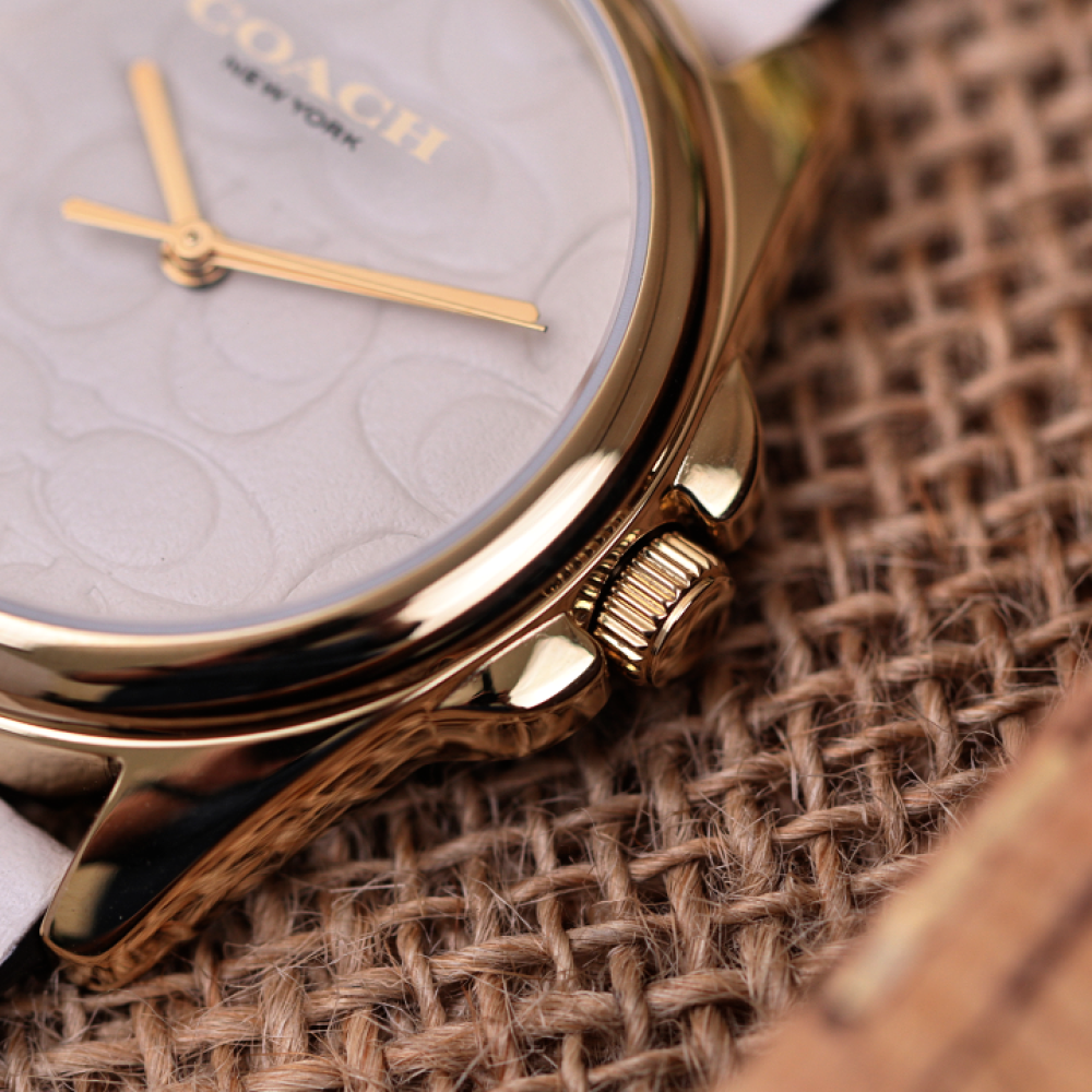 Đồng Hồ Nữ Coach Greyson 14504141 36mm