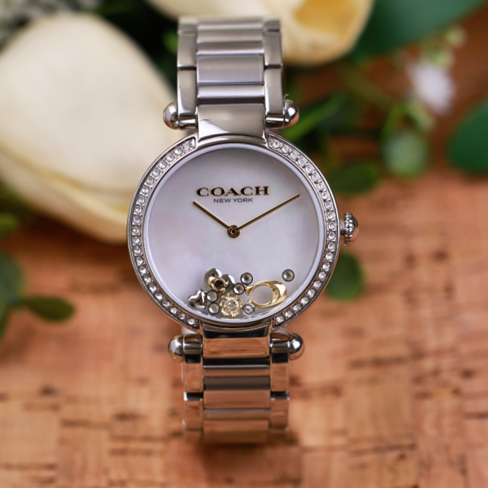Đồng Hồ Nữ Coach Cary 14504264 34mm