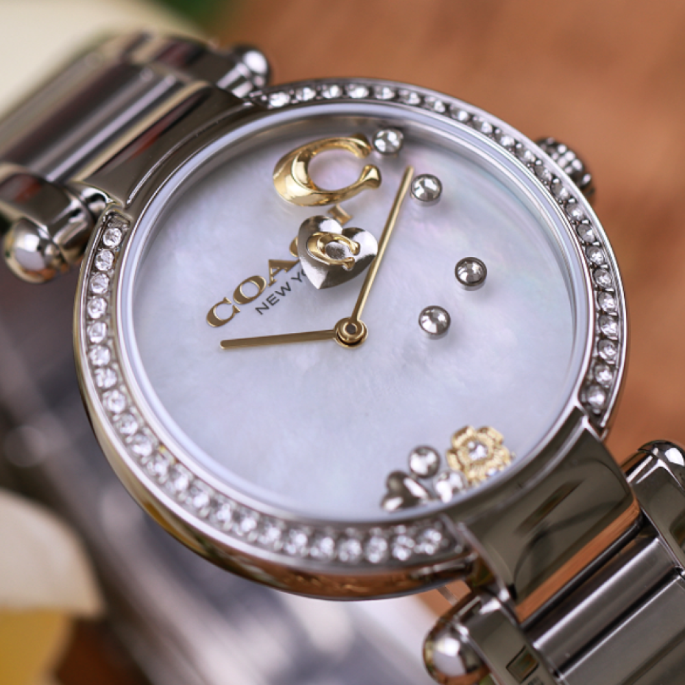 Đồng Hồ Nữ Coach Cary 14504264 34mm