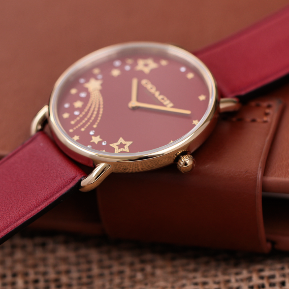 Đồng Hồ Nữ Coach Elliot 14504378 36mm