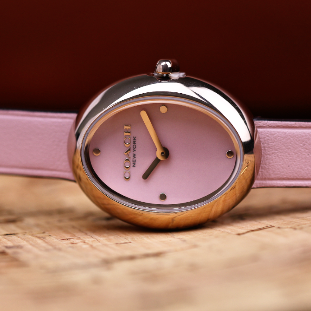 Đồng Hồ Nữ Coach Sammy 14504423 22.5mm