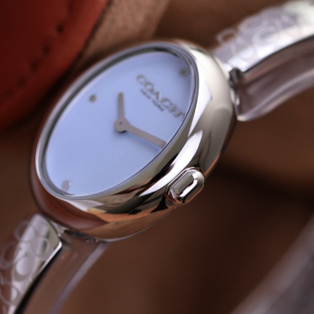 Đồng Hồ Nữ Coach Sammy 14504484 22.5mm