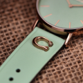 Đồng Hồ Nữ Coach Perry 14503921 36mm