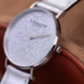 Đồng Hồ Nữ Coach Perry 14504076 36mm