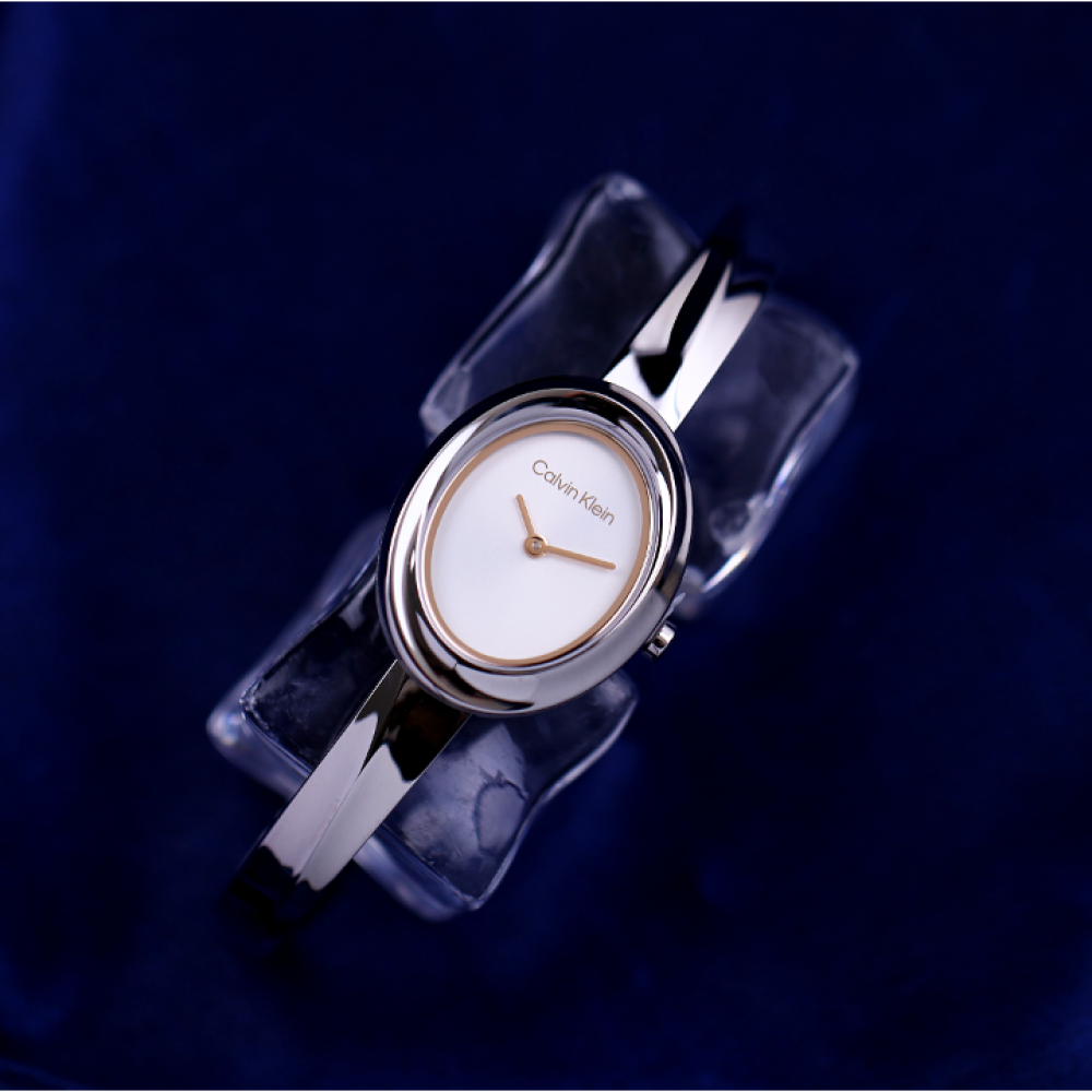 Đồng Hồ Nữ Calvin Klein Twisted 25100055 24mm