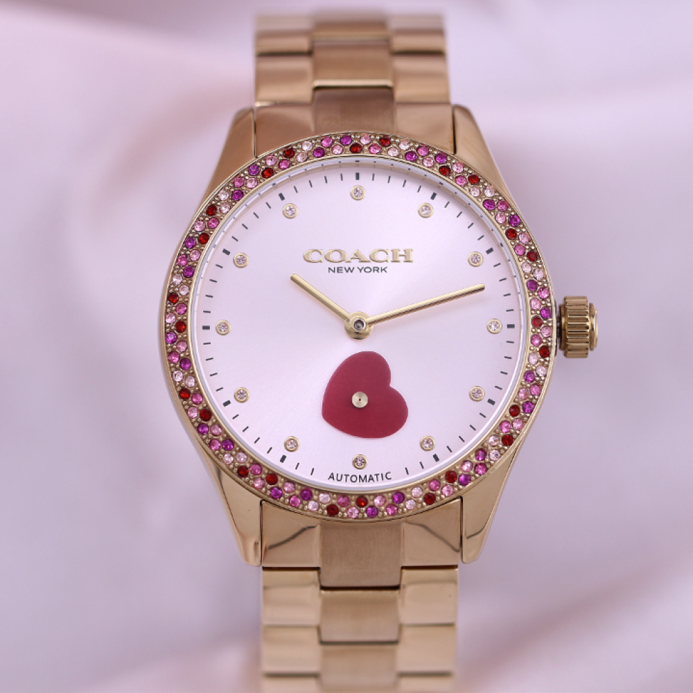 Đồng Hồ Nữ Coach Brooks 14504487 38mm