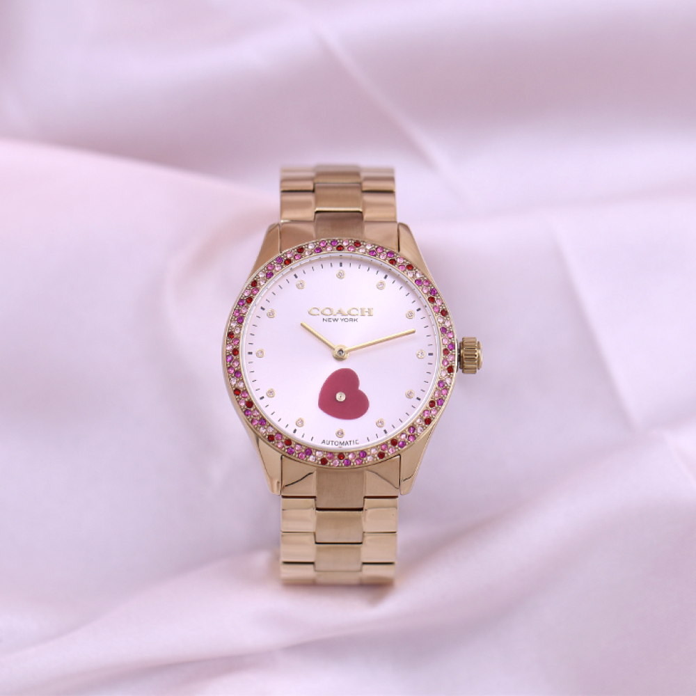 Đồng Hồ Nữ Coach Brooks 14504487 38mm