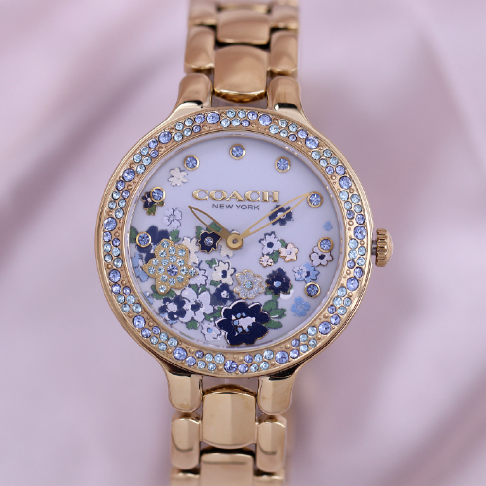 Đồng Hồ Nữ Coach Chelsea 14504500 36mm
