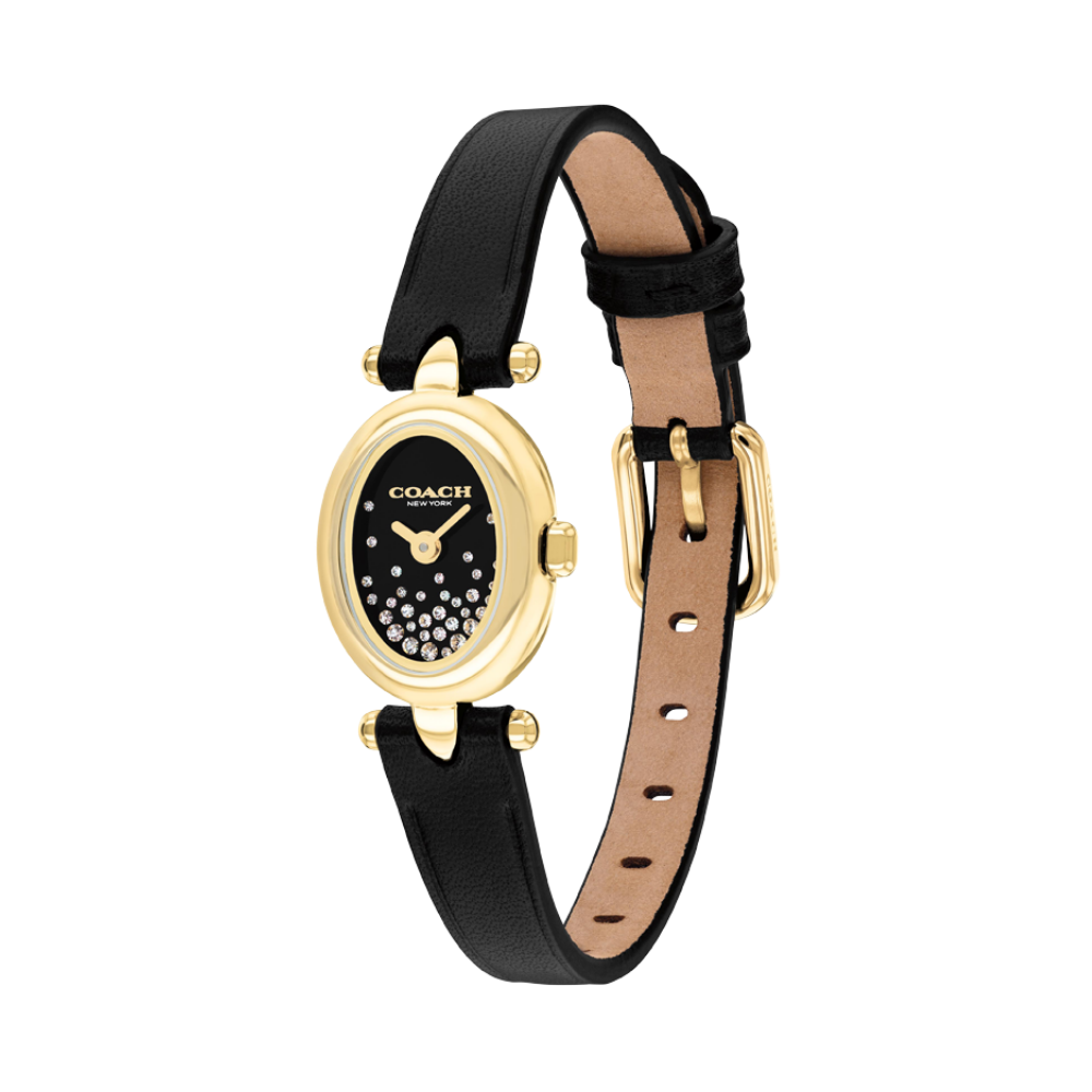 Đồng Hồ Nữ Coach Sammy 14504739 18mm