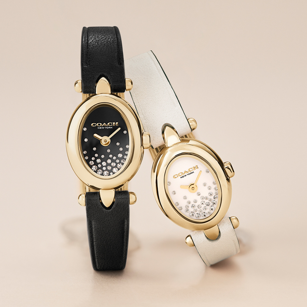 Đồng Hồ Nữ Coach Sammy 14504739 18mm